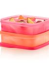 Tupperware Eco+ Lunch-It® Containers Free shipping