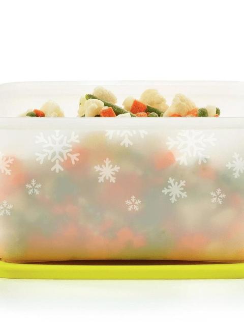 Tupperware Freezer Mates® PLUS Medium Deep Free shipping