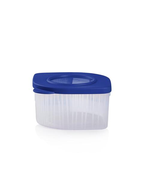 Tupperware Fresh 'N Cool Small Container Best Buy