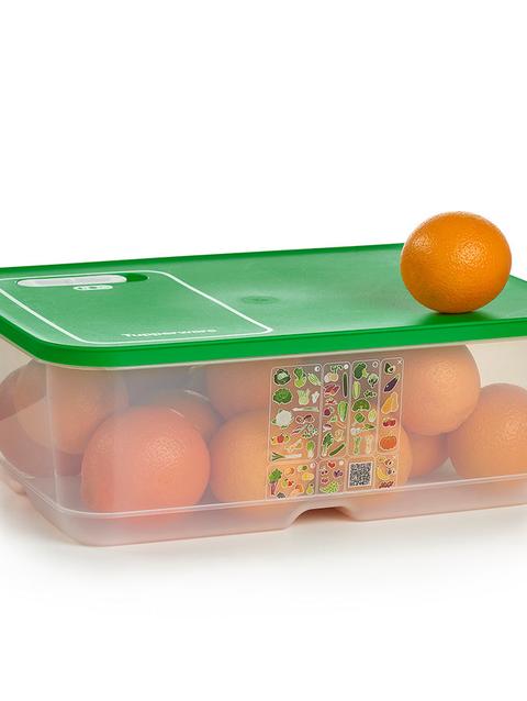 Tupperware FridgeSmart® Extra Large Same Day Delivery