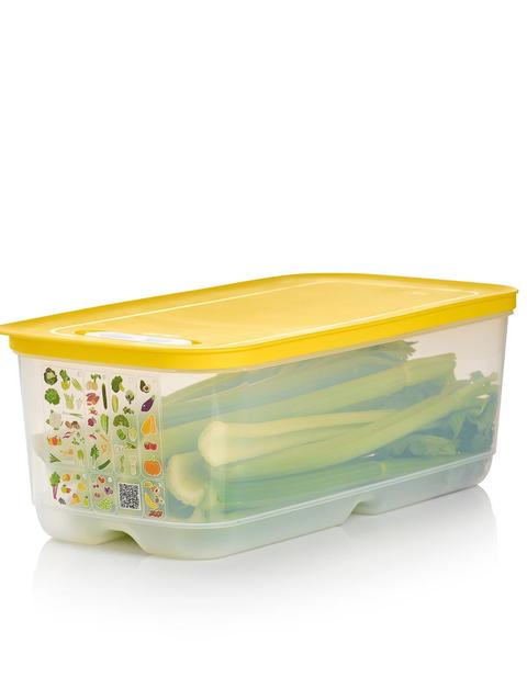 Tupperware FridgeSmart® Large Best Price