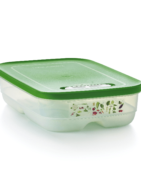 Tupperware FridgeSmart® Medium Same Day Delivery