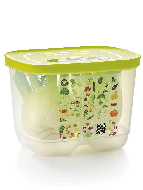 Tupperware FridgeSmart® Small Deep Free shipping