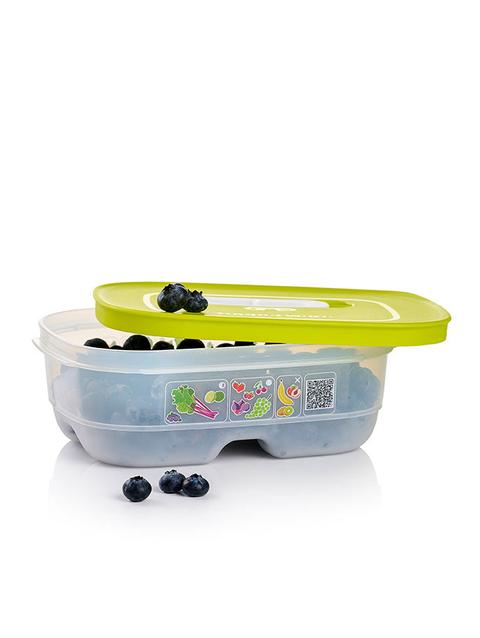 Tupperware FridgeSmart® Small Free shipping