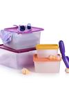 Tupperware KeepTabs® 4-Pc. Set Same Day Delivery