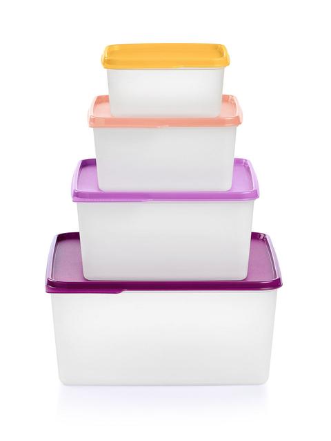 Tupperware KeepTabs® 4-Pc. Set Same Day Delivery