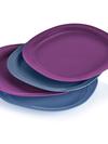 Tupperware Microwave Reheatable Luncheon Plates Best Buy