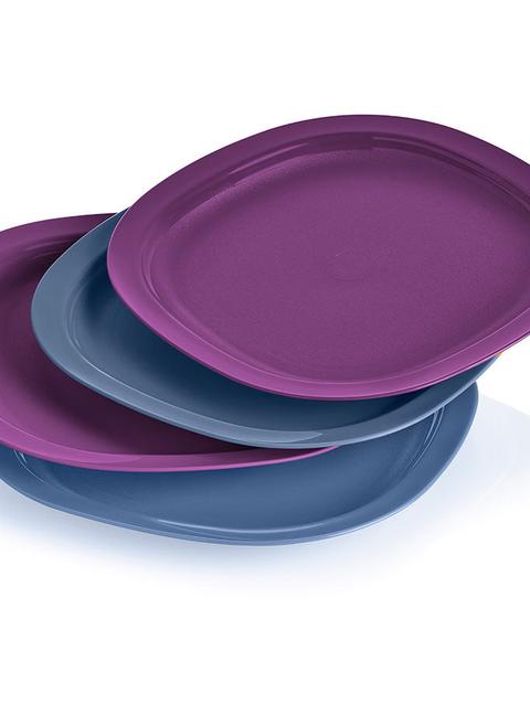 Tupperware Microwave Reheatable Luncheon Plates Best Buy