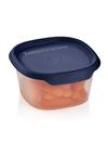 Tupperware One Touch Fresh™ Small Square 1 1/2-cup/370 mL Best Buy