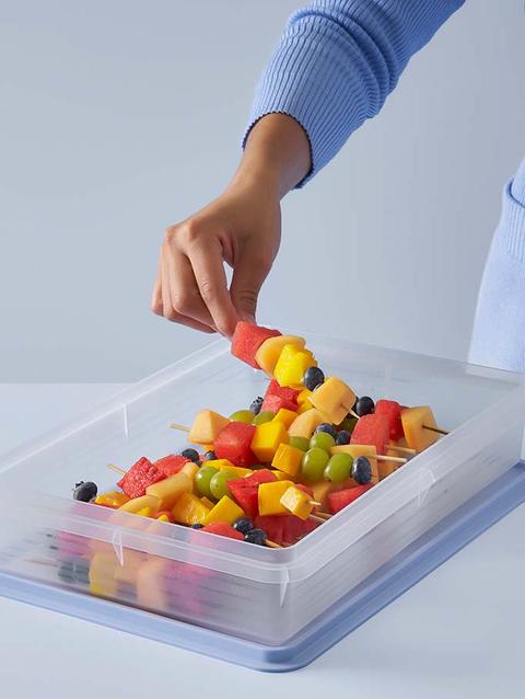 Tupperware Snack-Stor® Large Container New Arrival