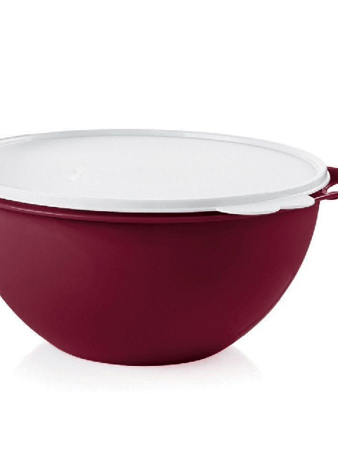 Tupperware THATSA® MEDIUM BOWL High Quality