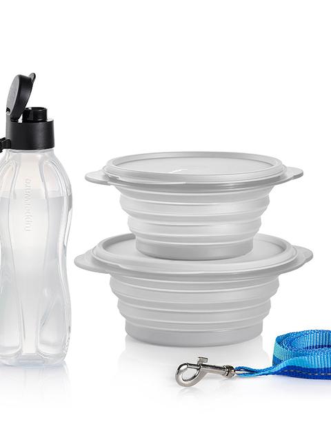 Tupperware Tupper®Pets FlatOut!® Travel Set For Sale